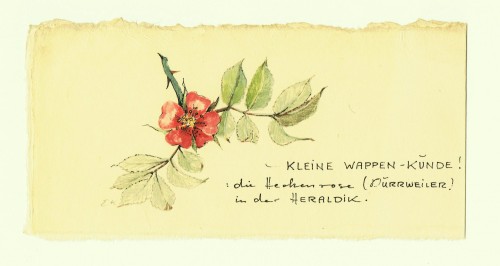 Die Heckenrose in der Heraldik, Durrweiler