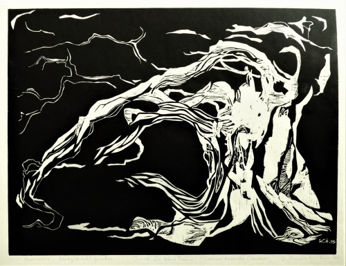 Insel El Hierro - Wacholderbaum