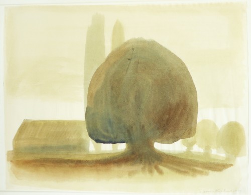 Der große Baum auf dem Silberberg