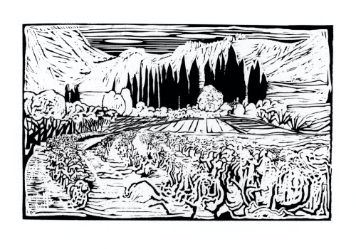 Weinfelder, bei Séguret en Provence