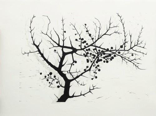 Schlehenzweig im Licht