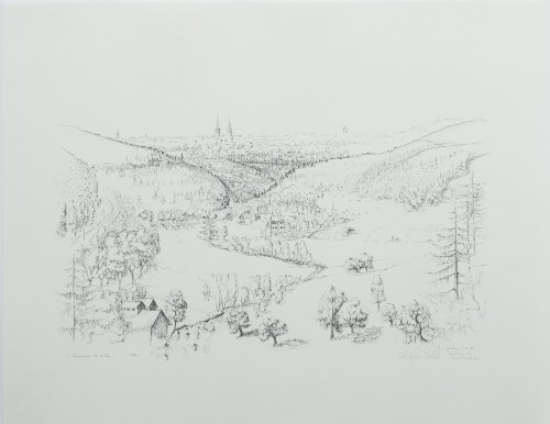 Freudenstadt mit Christophstal und Friedrichstal am Forbach